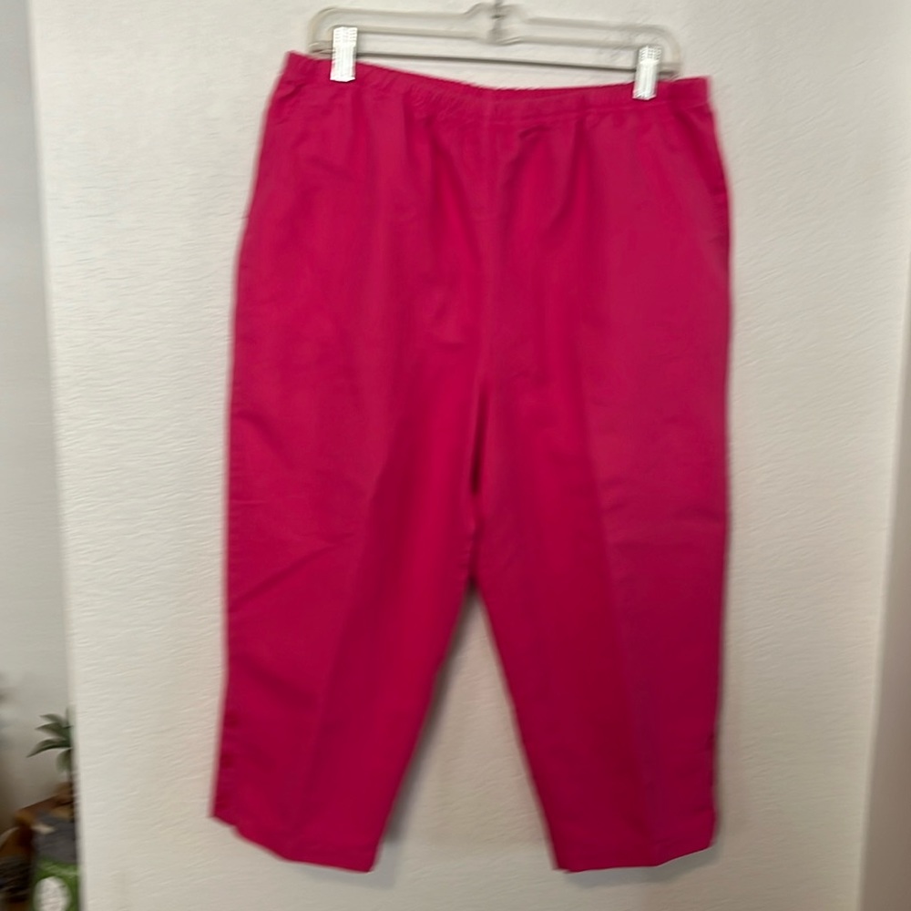 💗HOT PINK ANKLE LENGTH PANTS SZ L 32Wx20L BY BLAIR NWOT EXCELLENT CONDITION!